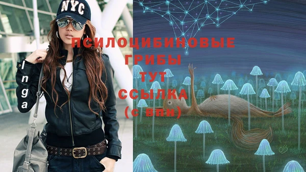 гашишное масло Аркадак